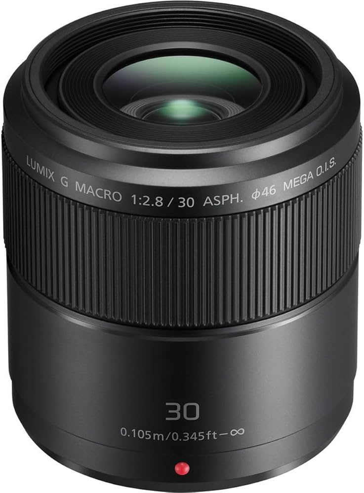 Panasonic LUMIX G Macro Lens, 30MM, F2.8 ASPH, MIRRORLESS Micro