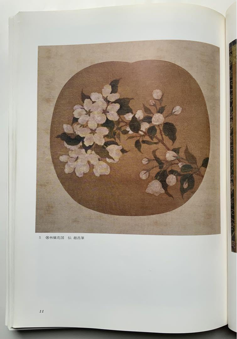 Amazon.co.jp: 図録『特別展 茶の美術』東京国立博物館 茶の湯 唐物数