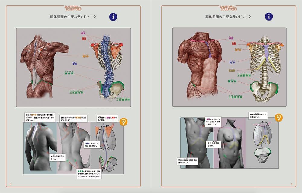 スカルプターのための美術解剖学 -Anatomy For Sculptors日本語版