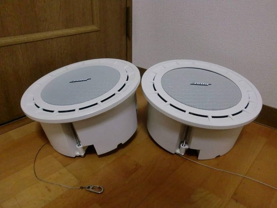 Amazon.co.jp: 天井埋込型スピーカー 111CL-III : 家電＆カメラ