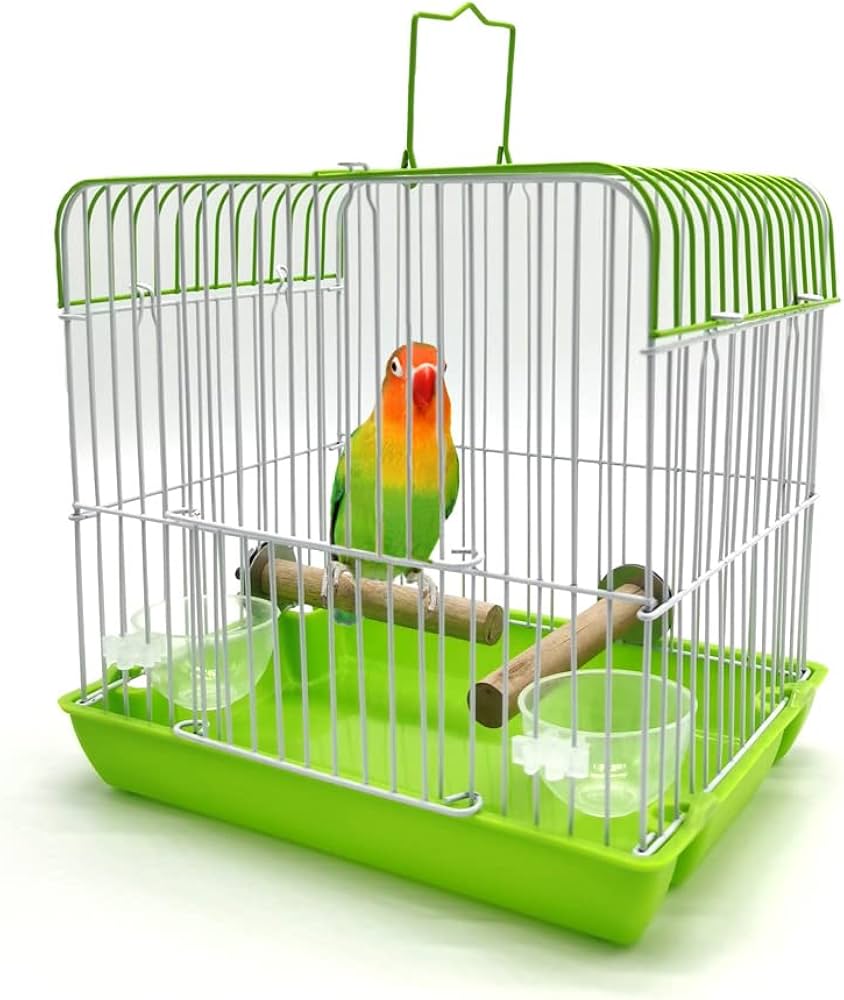 Amazon | IYOIYA 鳥 キャリー ケージ S 鳥かご 文鳥 小型 インコ 通院