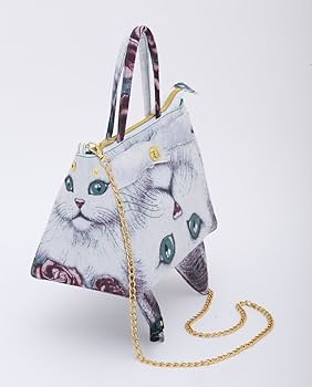 Amazon.co.jp: ムチャチャ←→あちゃちゅむ【限定】Special Gift Box : 本