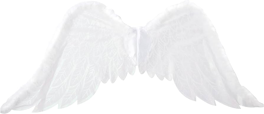 Amazon.com: White Guardian Angel Wings - 25