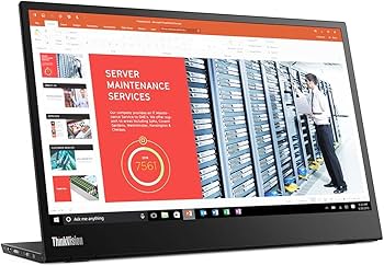 Amazon.com: Lenovo ThinkVision M14 14