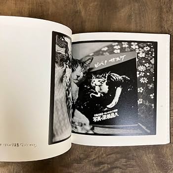 深瀬昌久 afterwordサスケ写真集 猫 2016年 初版限定900部 Amazon.co