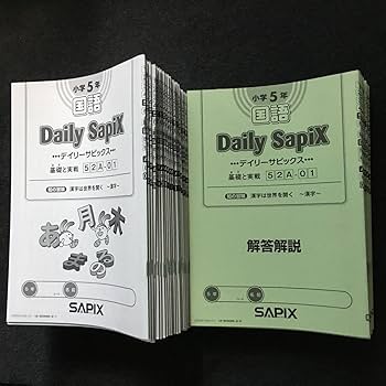 Amazon.co.jp: サピックス 5年 国語 1年分 季節講習 デイリーチェック