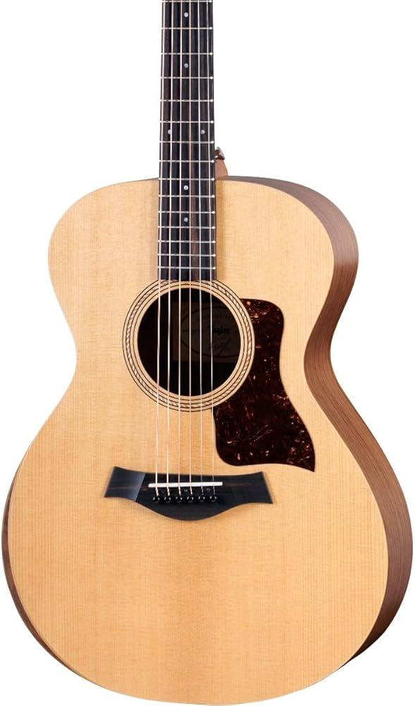Amazon.com: Taylor Academy 12e Acoustic-electric Guitar - Natural