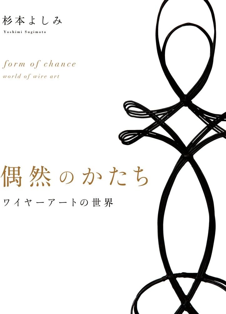 偶然のかたち ワイヤーアートの世界 帯付き 大型本 偶然のかたち