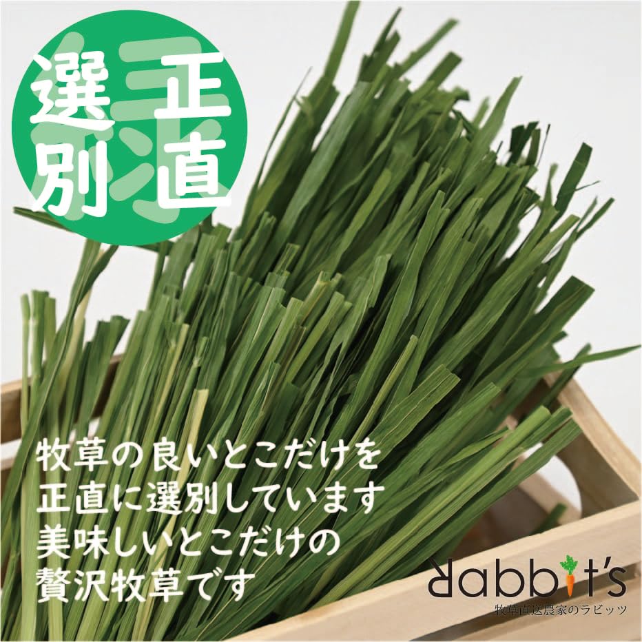 Amazon.co.jp: 【牧草直送農家のラビッツ】特撰無農薬オーツヘイ70g