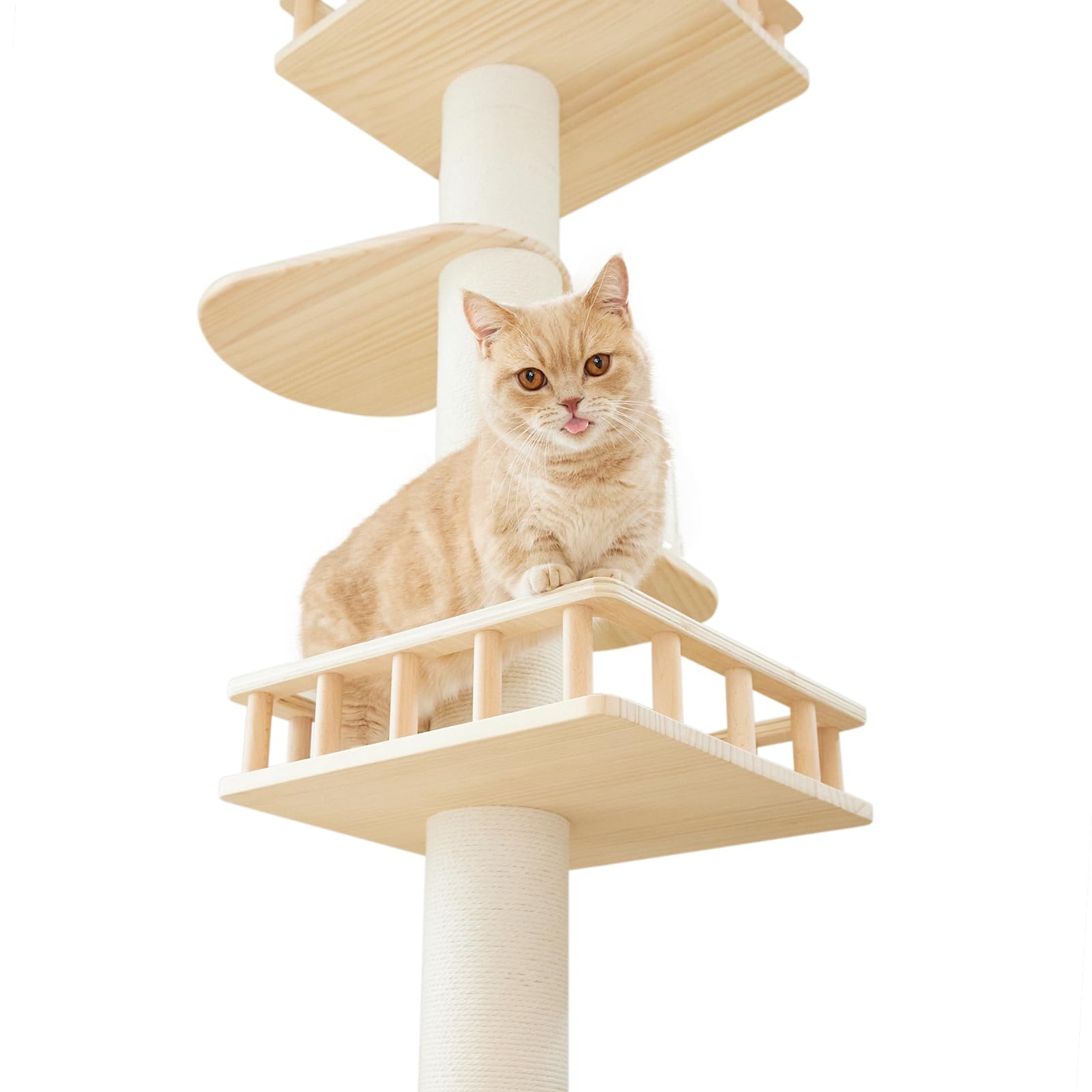 Amazon | [SUMIKAフレンチバルコニーRomyaoロミャオ ウッドM ] 日本