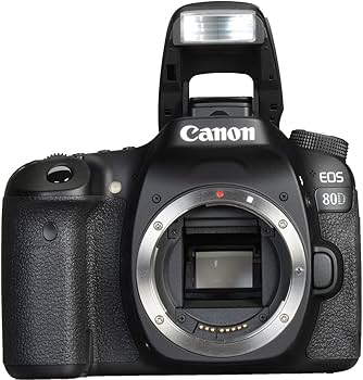 Amazon.com : Canon EOS 80D DSLR Camera (Body Only) (1263C004) + 4K