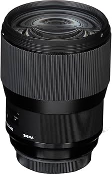 Amazon.com : Sigma 135mm F1.8 Art DG HSM for Sony E : Electronics