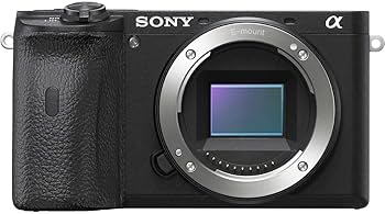 Amazon | SONY(ソニー) ミラーレス一眼 α6600M 高倍率ズームレンズ