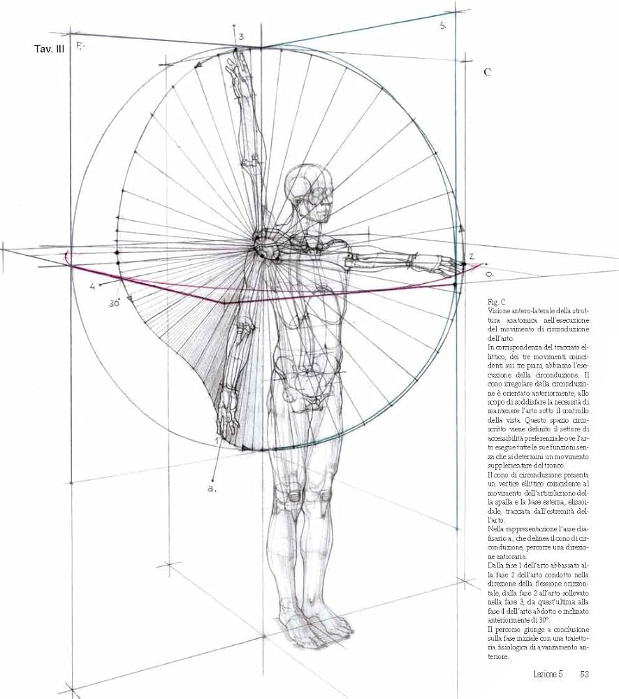 アート・デザイン・音楽 Struttura uomo in movimento Amazon.com