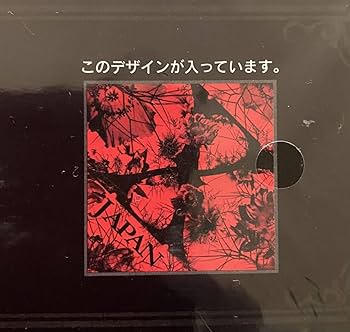 Amazon.co.jp: X JAPAN くじ 第二弾 ⑨ バンダナ賞 A X-JAPAN エックス