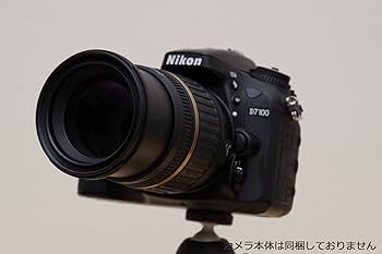 Amazon.co.jp: TAMRON 大口径ズームレンズ SP AF17-50mm F2.8 XR DiII
