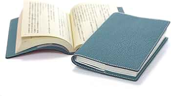 61ibj3196KL._AC_UF350,