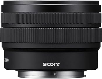 Amazon.com : Sony Full Frame E-Mount Lens SEL2860 - The World's
