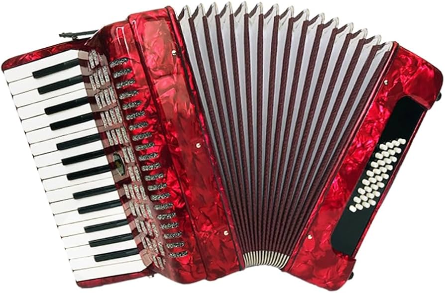 Amazon.co.jp: BailingDS アコーディオン 30キー 32ベース