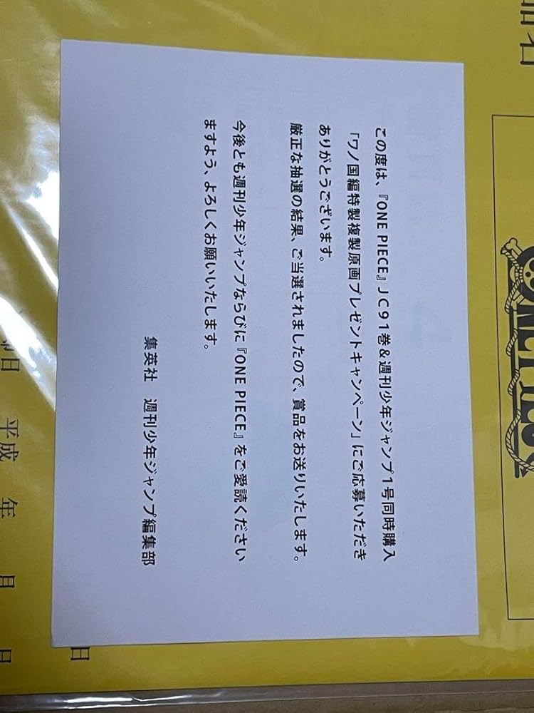 Amazon.co.jp: ONE PIECE 91巻 ワノ国複製原画キャンペーン