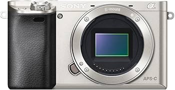 Amazon.com : Sony Alpha a6000 Mirrorless Digital Camera 24.3MP SLR
