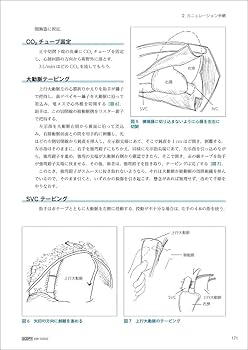 61jVFtKXI1L._AC_UF350,