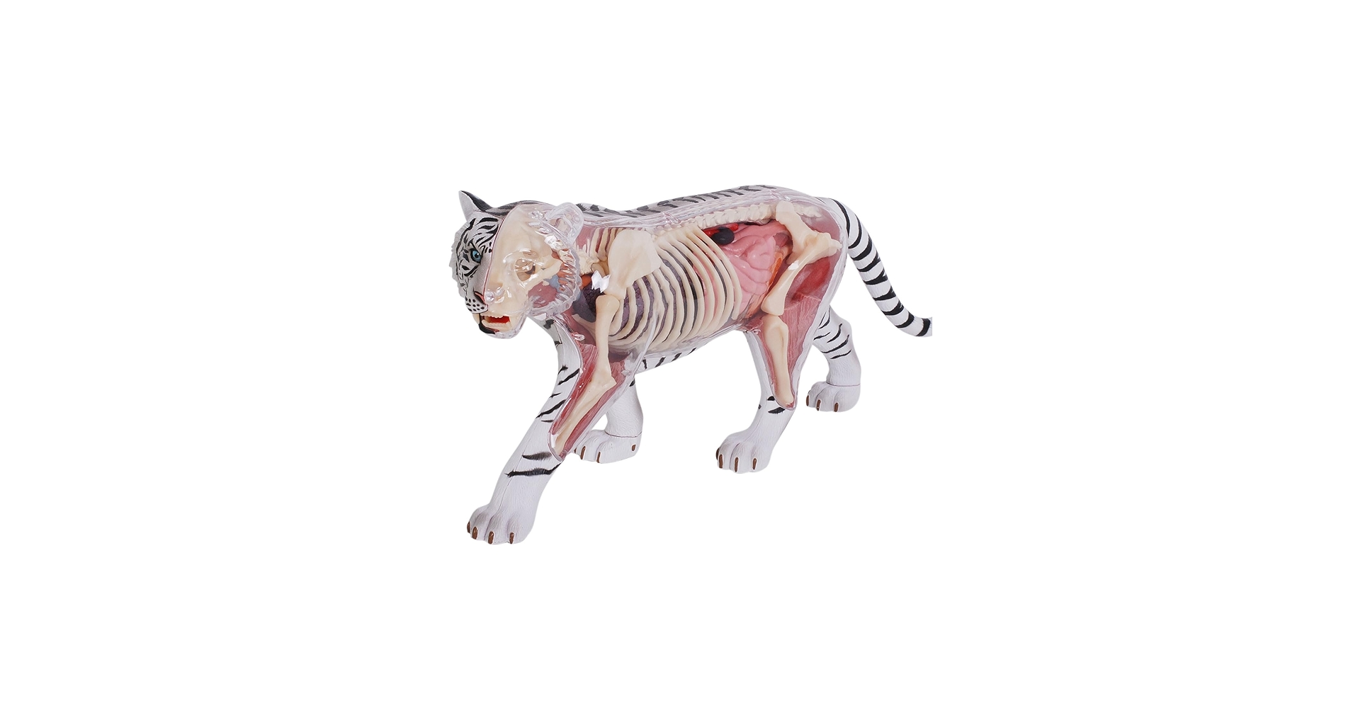 61jYR3bf61L.jpg_BO30,255,255,