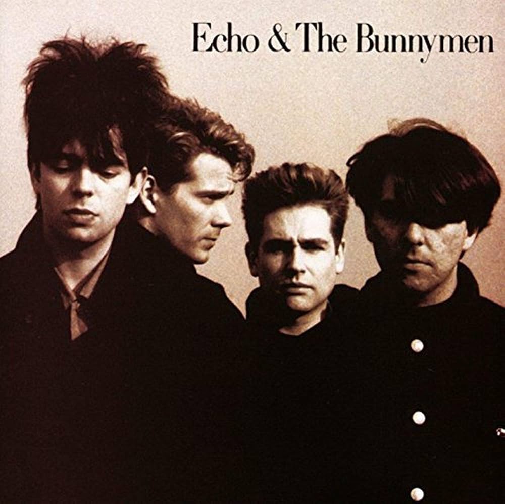 Echo & the Bunnymen [Disco de Vinil] | Amazon.com.br