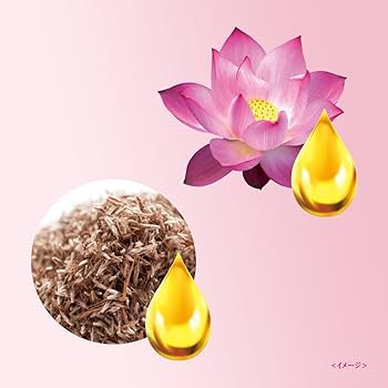 Amazon.co.jp: ラックス ボディソープ フローラルタッチ つめかえ用