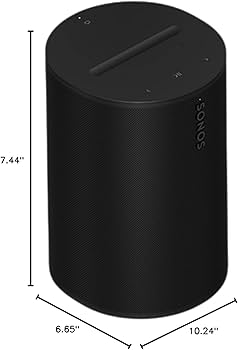 Amazon.com: Sonos Era 100 - Black - Wireless, Alexa Enabled Smart