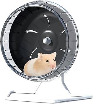 Amazon.co.jp: ハリネズミ まわし車 27 静音 ゴールデン ハムスター