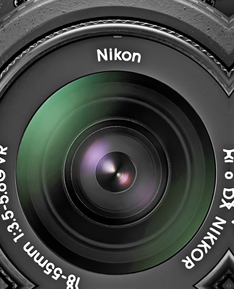 Amazon.com : Nikon D3000 10.2MP Digital SLR Camera with 18-55mm f