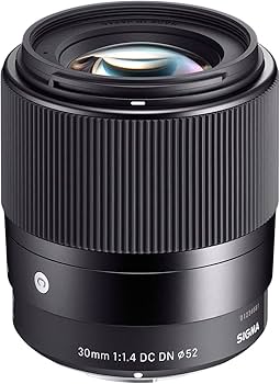Amazon.com : Sigma 30mm F1.4 DC DN for L Mount : Electronics