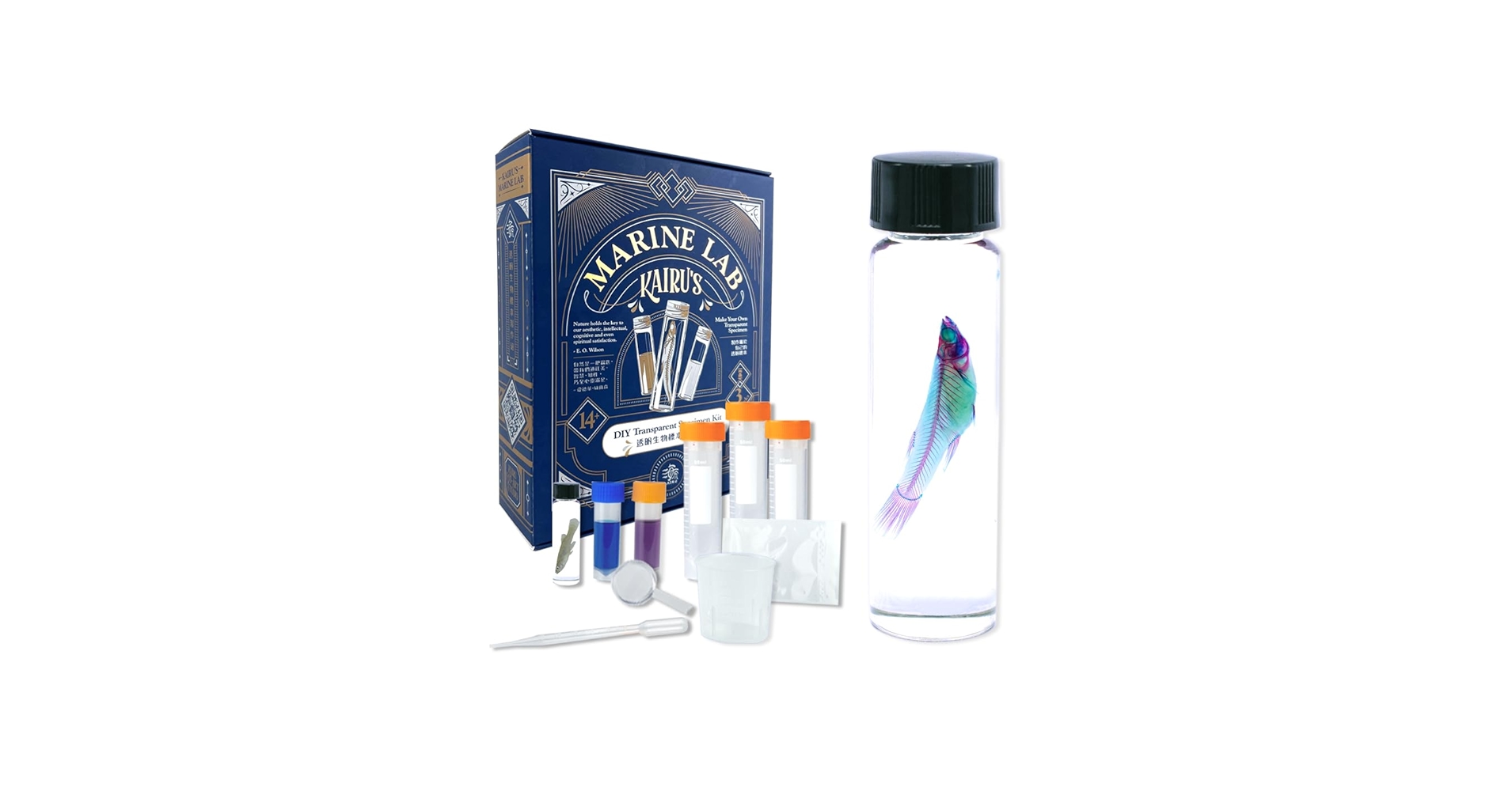 61krmgN2I2L.jpg_BO30,255,255,