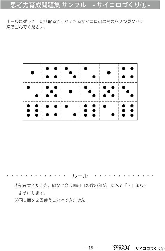思考力育成問題集24サイコロづくり1 (ピグマリオン|PYGLIシリーズ