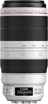 Amazon.co.jp: EF100-400mm F4.5-5.6L IS II USM : 家電＆カメラ