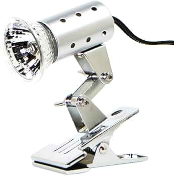 61lGji24naL._AC_UF350,