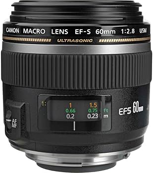 Amazon.com : Canon EF-S 60mm f/2.8 Macro USM Fixed Lens for Canon