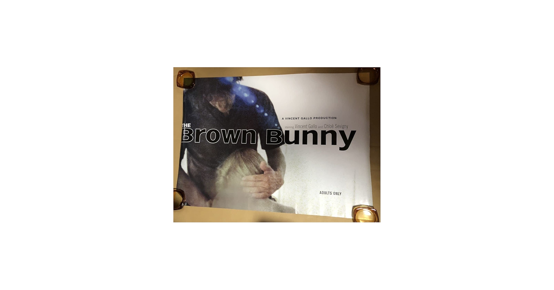 Amazon.co.jp: 大サイズ ブラウン バニー ヴィンセント ギャロ