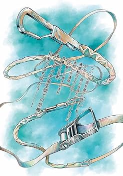 Amazon.co.jp: ラゲッジタグ付き 宇宙兄弟(43)限定版 (講談社