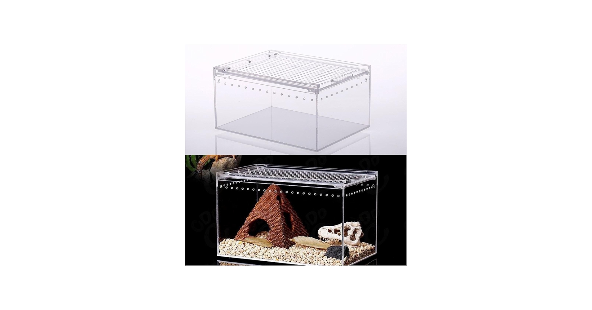 Amazon | レプタイルボックス 爬虫類 飼育ケース 虫かご 大 透明