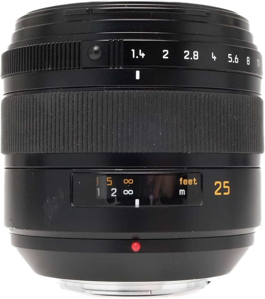 Amazon.co.jp: パナソニック 単焦点レンズ フォーサーズ用 ライカ D