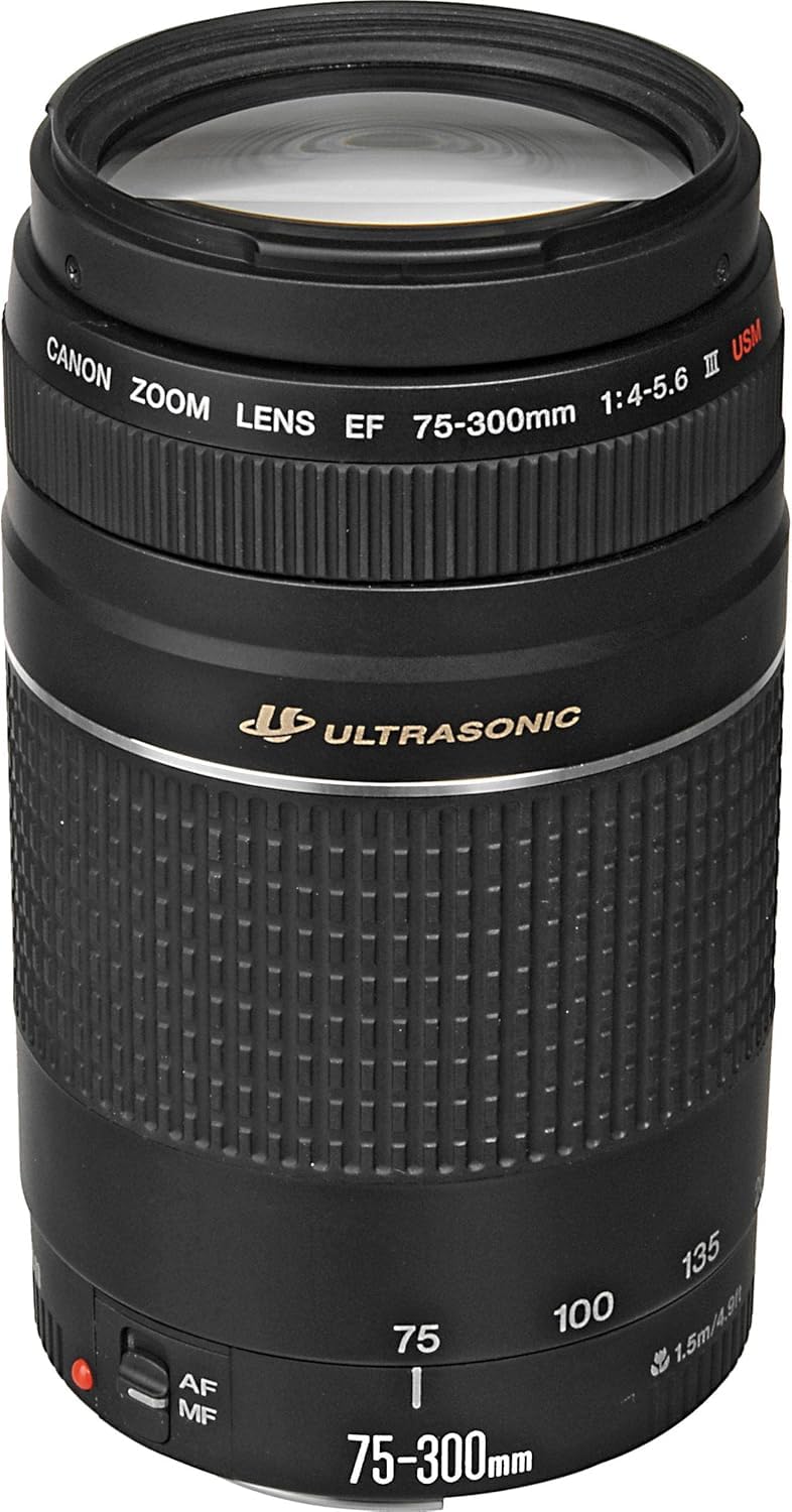 Amazon.com : Canon Ef 75-300mm F/4-5.6 III Telephoto Zoom Lens for