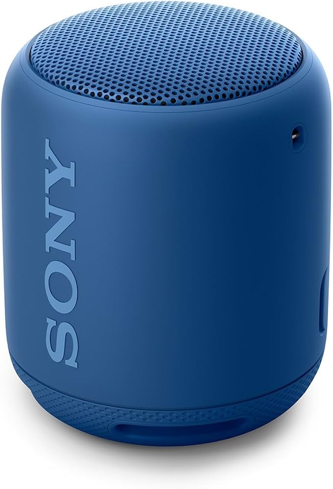 Amazon.co.jp: ソニー ワイヤレスポータブルスピーカー 重低音モデル