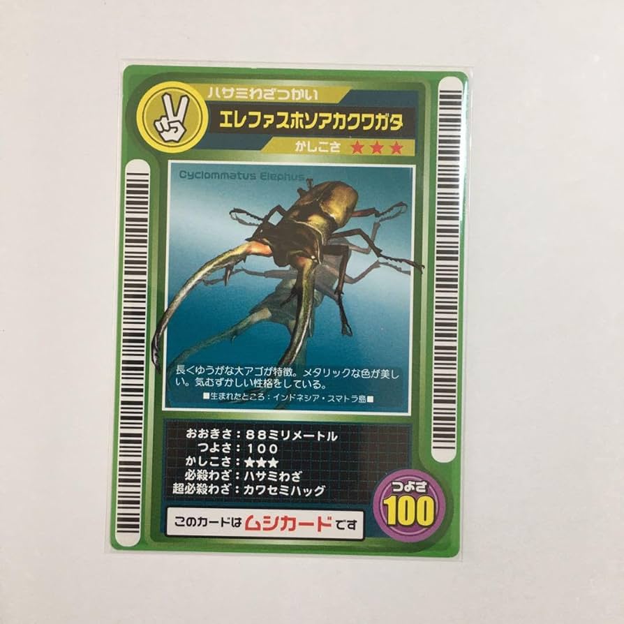 Amazon.co.jp: ムシキング2002 ロケテストカード エレファスホソアカ