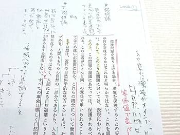 Amazon.co.jp: 東進 林修先生 東大現代文2010～2019年 板書解説 東大