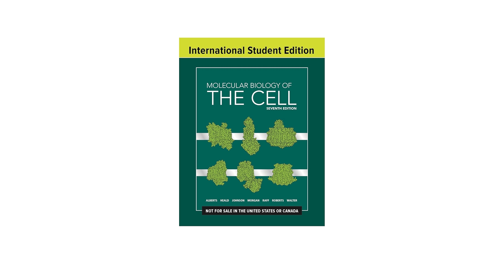 Molecular Biology of the Cell: Bruce Alberts: 9780393884852