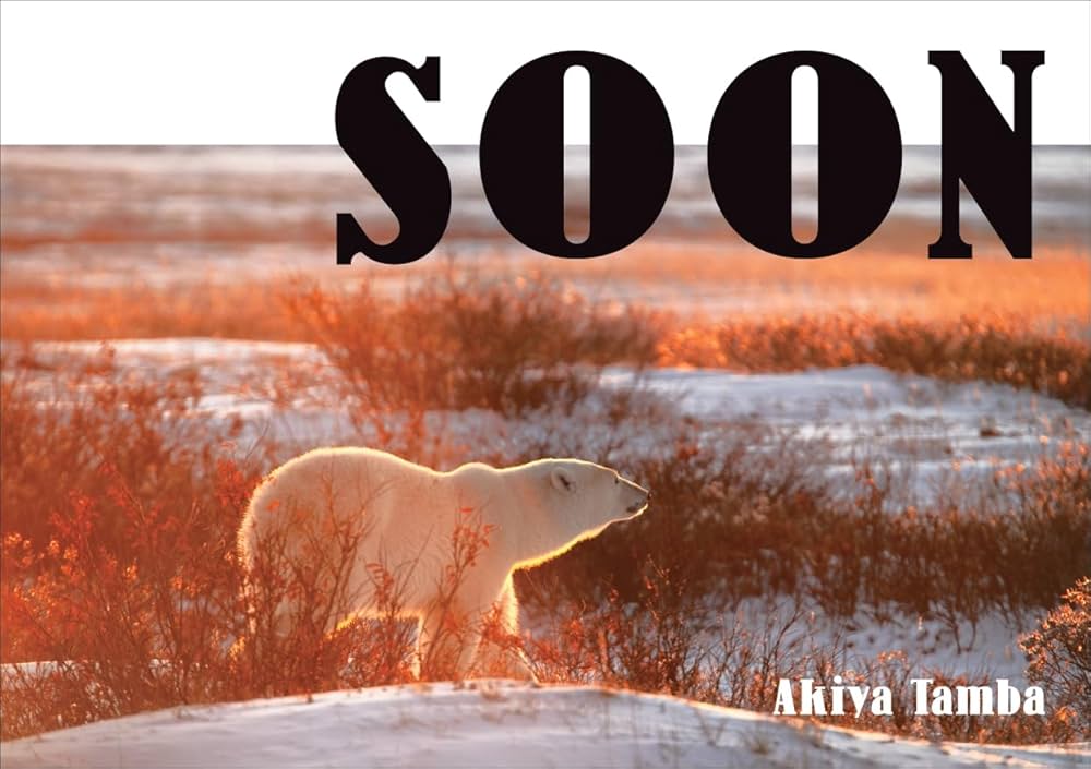 61mBKxoNmTL._AC_UF1000,