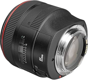 Amazon.com : Canon 85mm F1.2 L II USM EF AF Lens : Camera Lenses