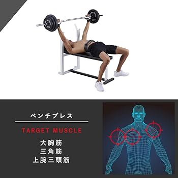 Amazon.co.jp: BODY DESIGN(ボディデザイン)プレスベンチ